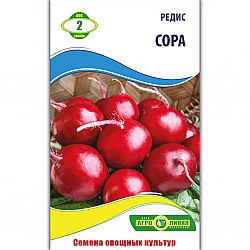 Редис Сора (вес15)